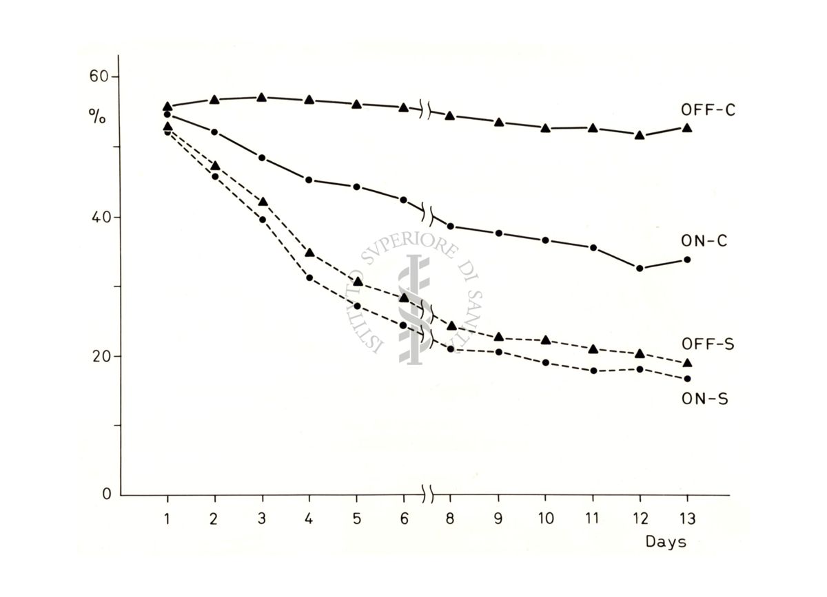 Grafico