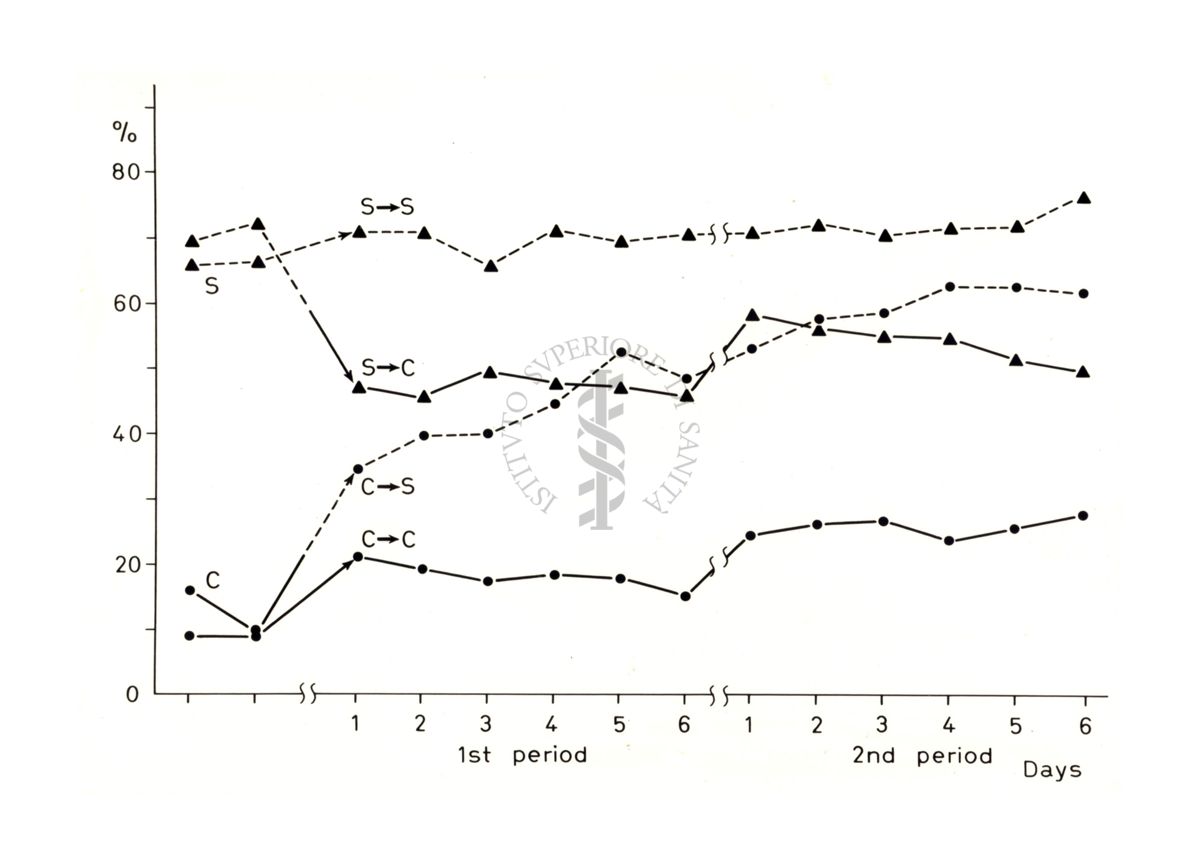 Grafico