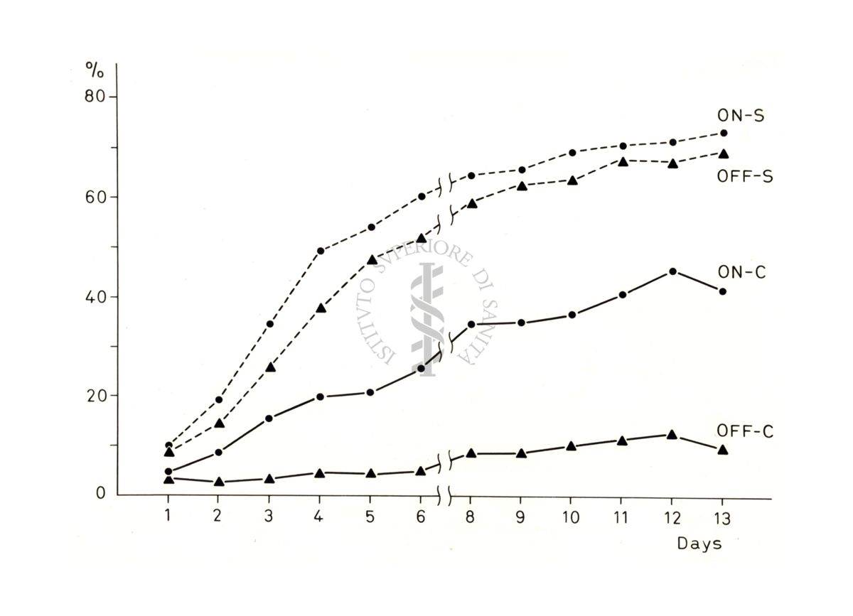 Grafico