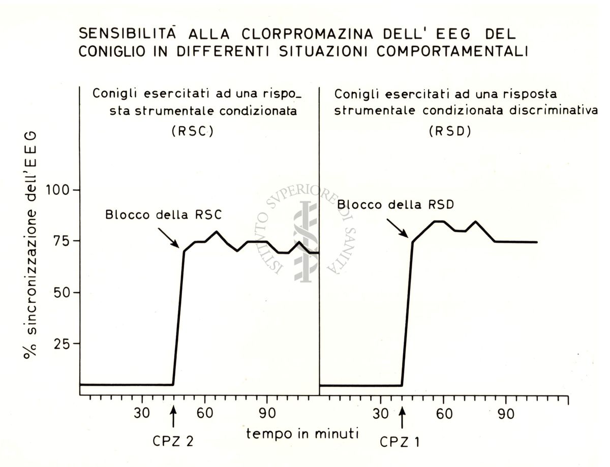 Grafico