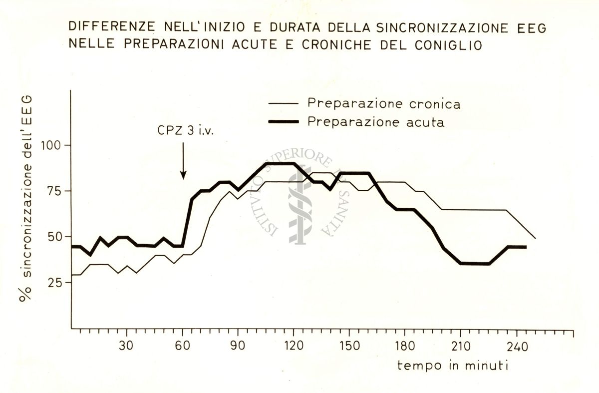 Grafico