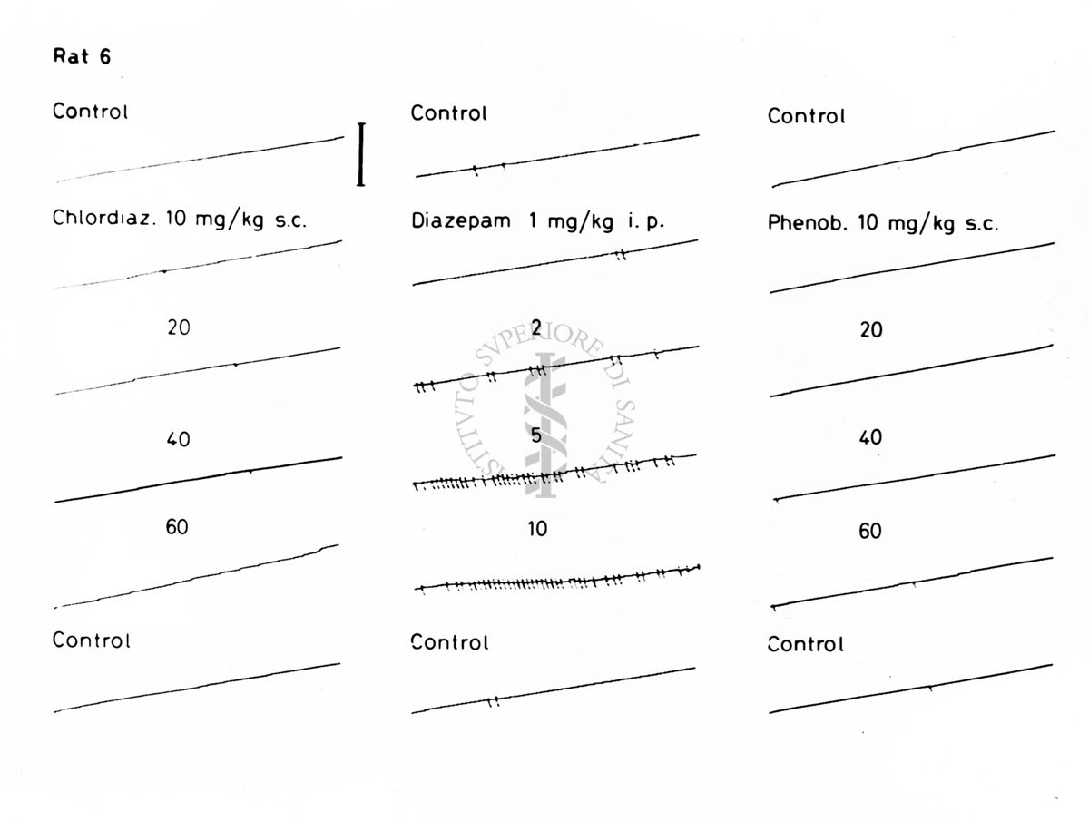 Grafico