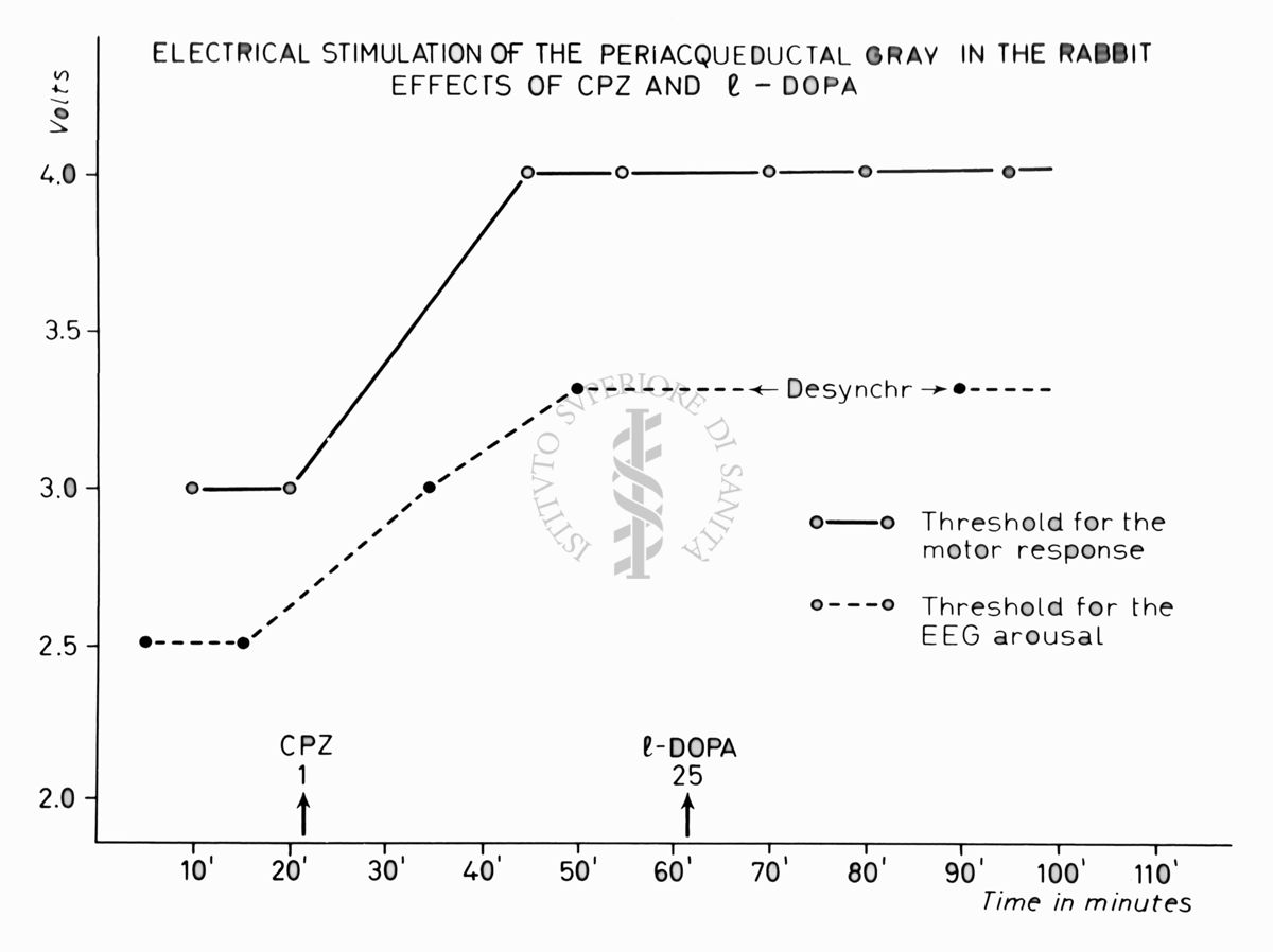 Grafico