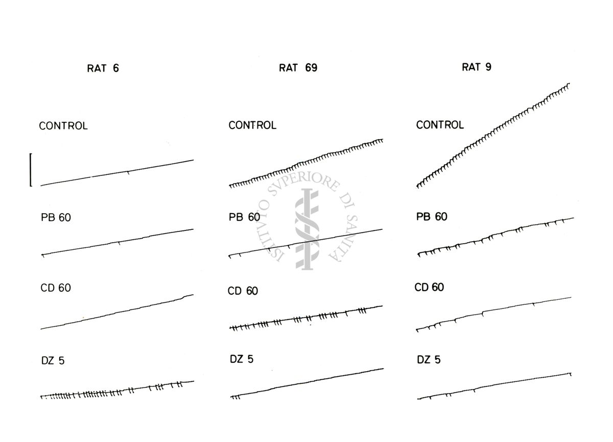 Grafico