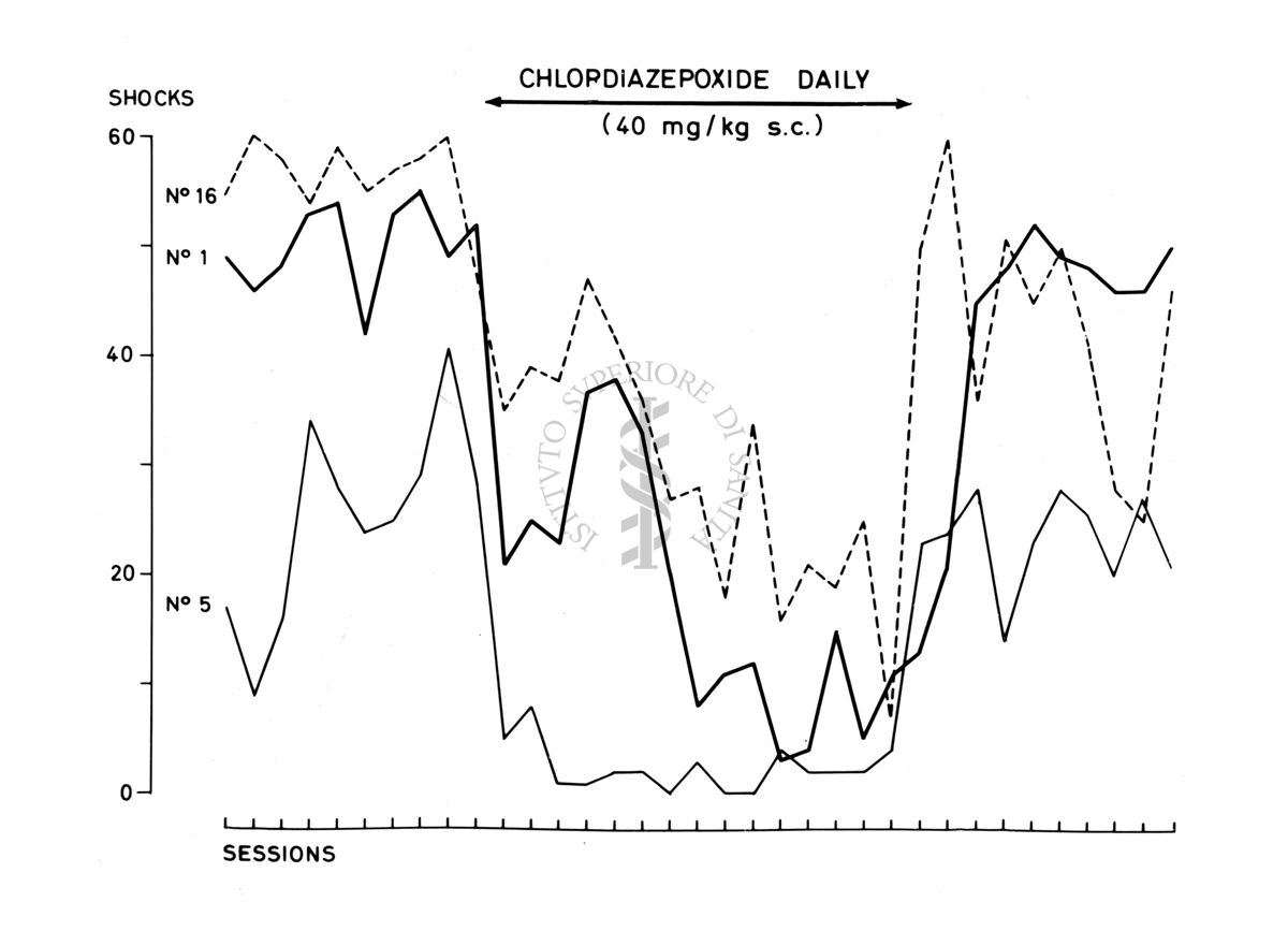 Grafico