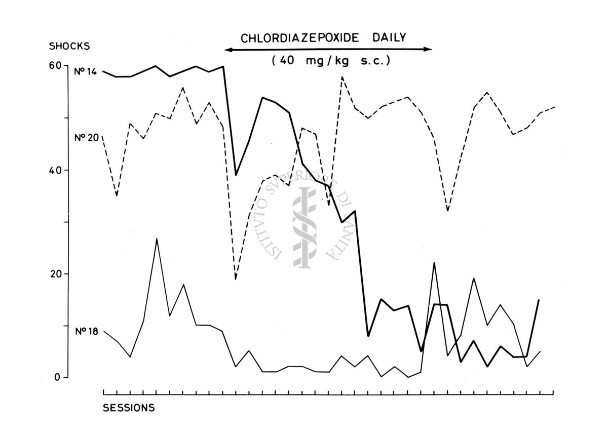 Grafico