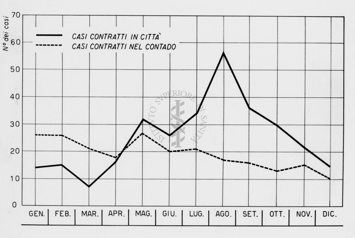 Grafico riguardante la febbre ricorrente in Giordania