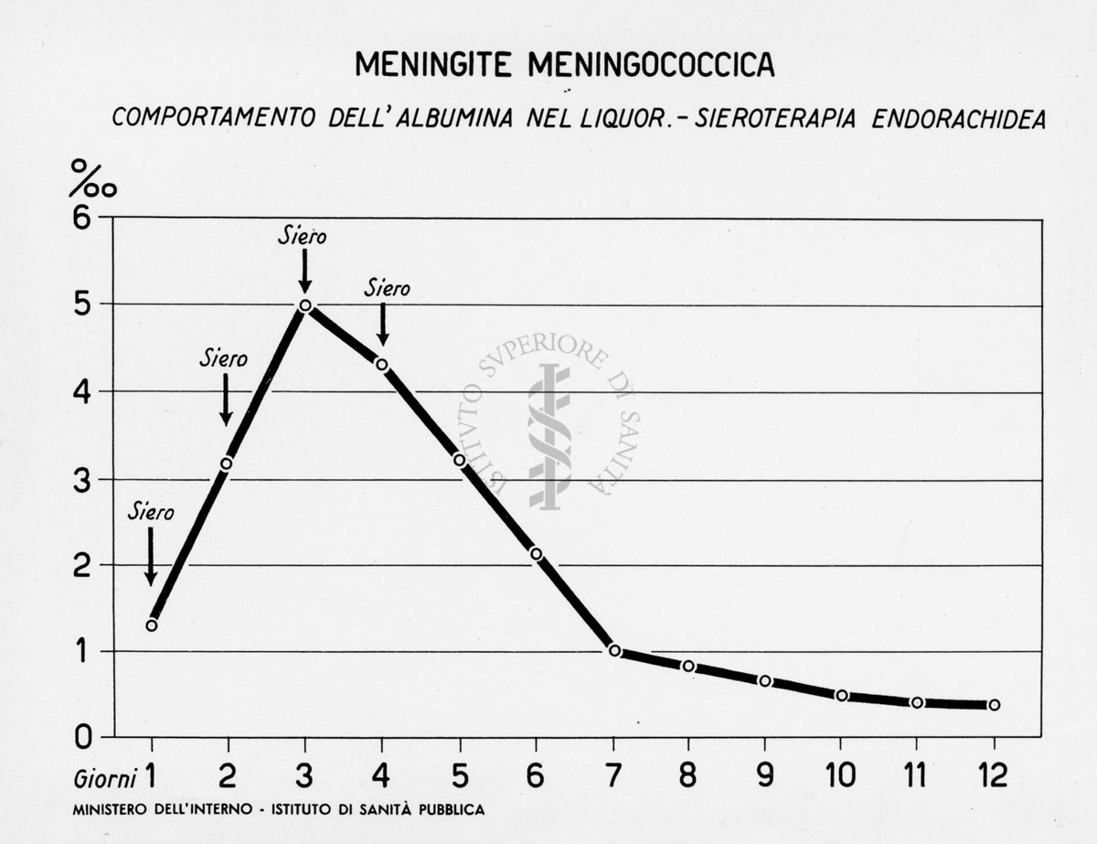 Grafico riguardante la meningite meningococcica