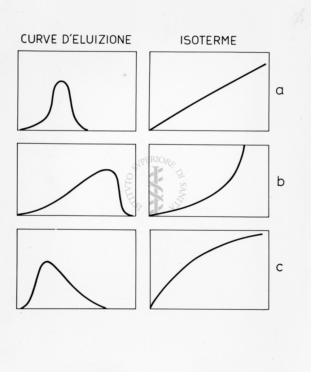 Senza titolo