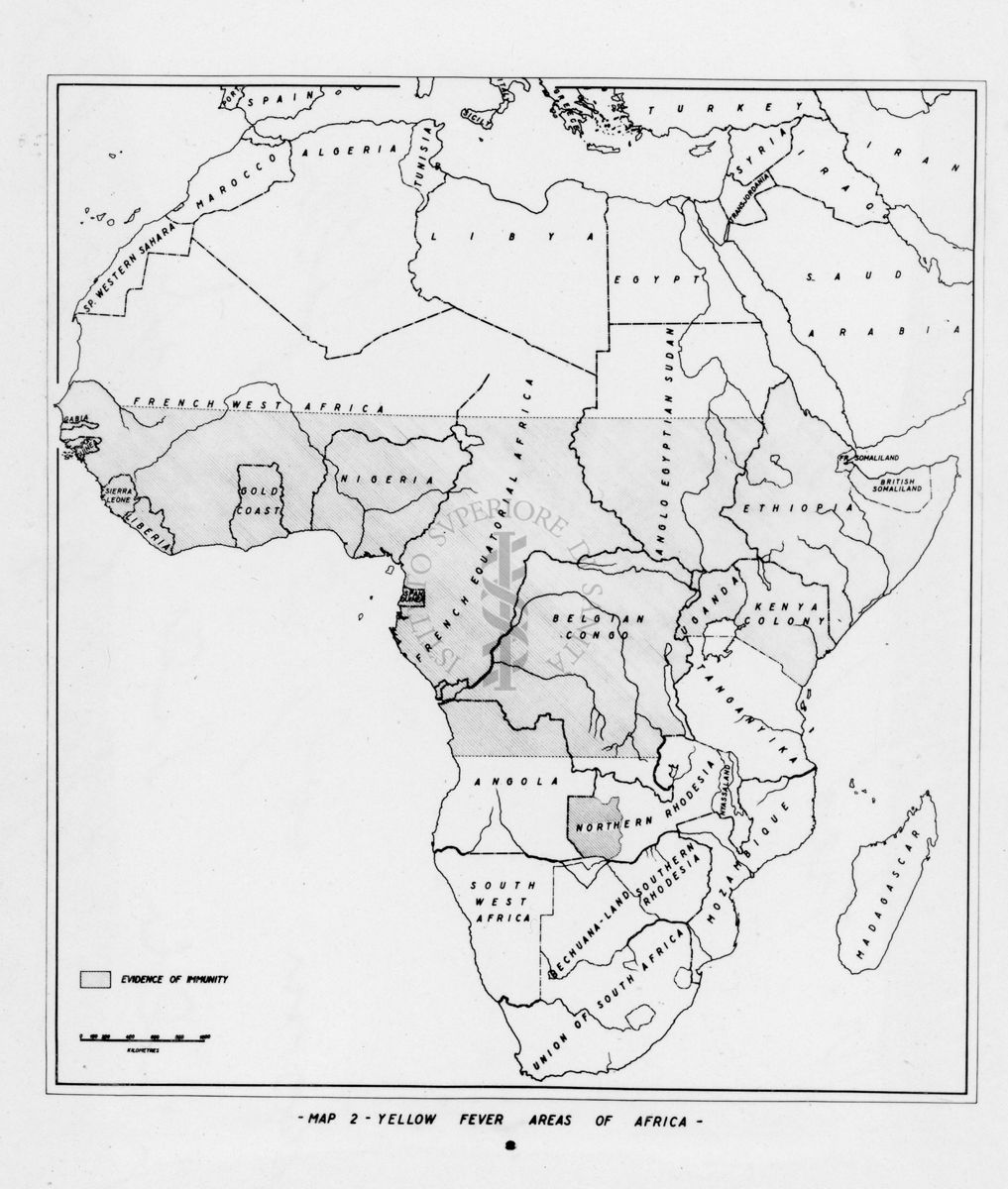 Cartogramma riguardante le zone colpite dalla Febbre Gialla nella Yungla in Africa