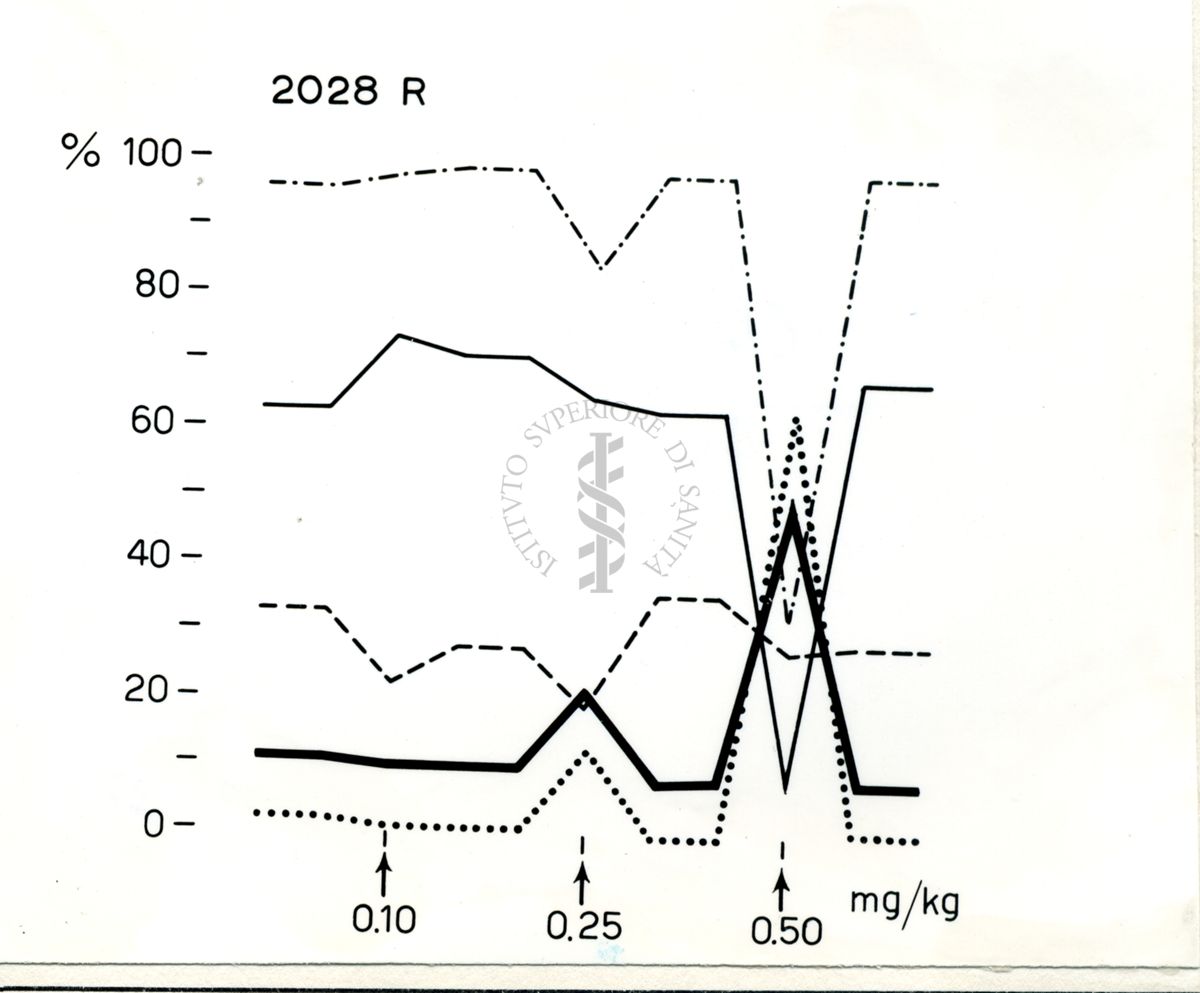 Grafico su cui è scritto 2023 R