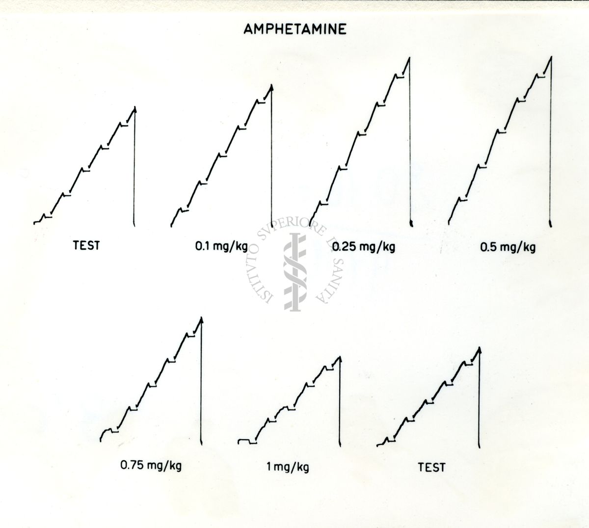 Grafici su cui vi è scritto: Amphetamine