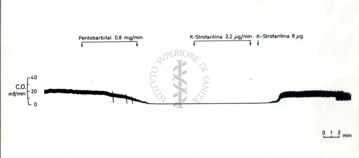 Tracciati su cui è scrittto: Pentobarbital, K-Strofantina, K-Strofantina