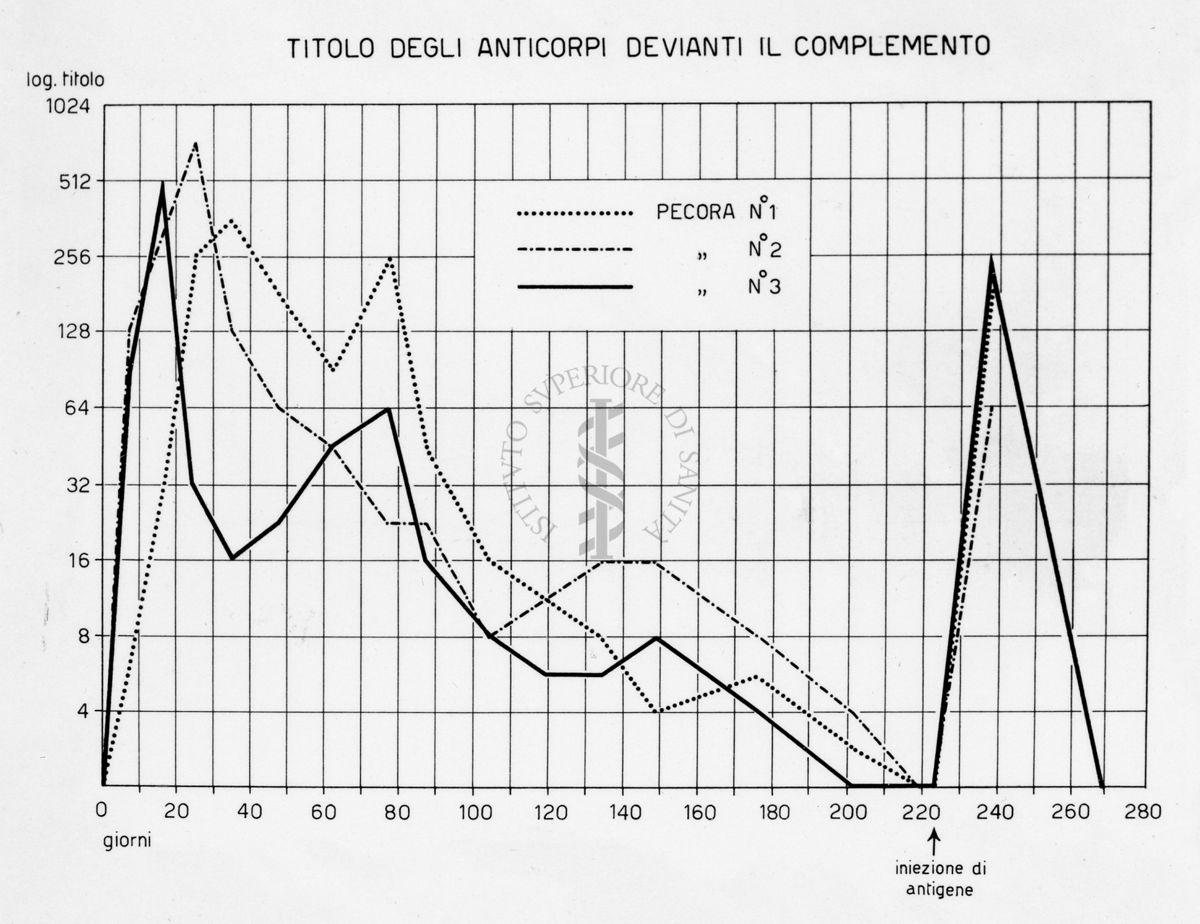 Diagramma riguardante la febbre Q