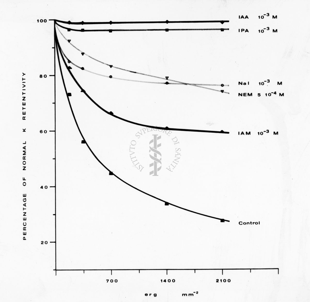 Grafico