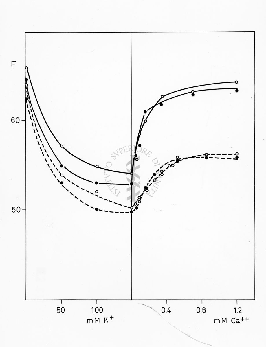 Grafico