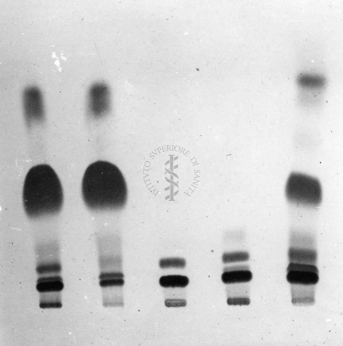 Gel riguardante studi su gas cromatografici