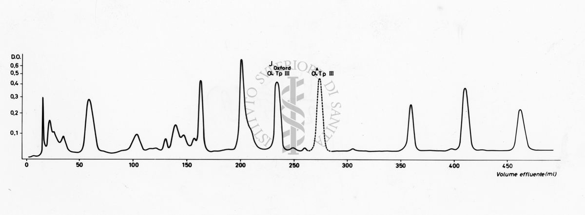 Grafico sulla composizione in aminoacidi del peptide alfa Tp III normale e anomalo