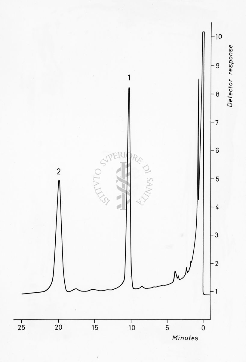 Grafico sulla composizione in aminoacidi del peptide alfa Tp III normale e anomalo