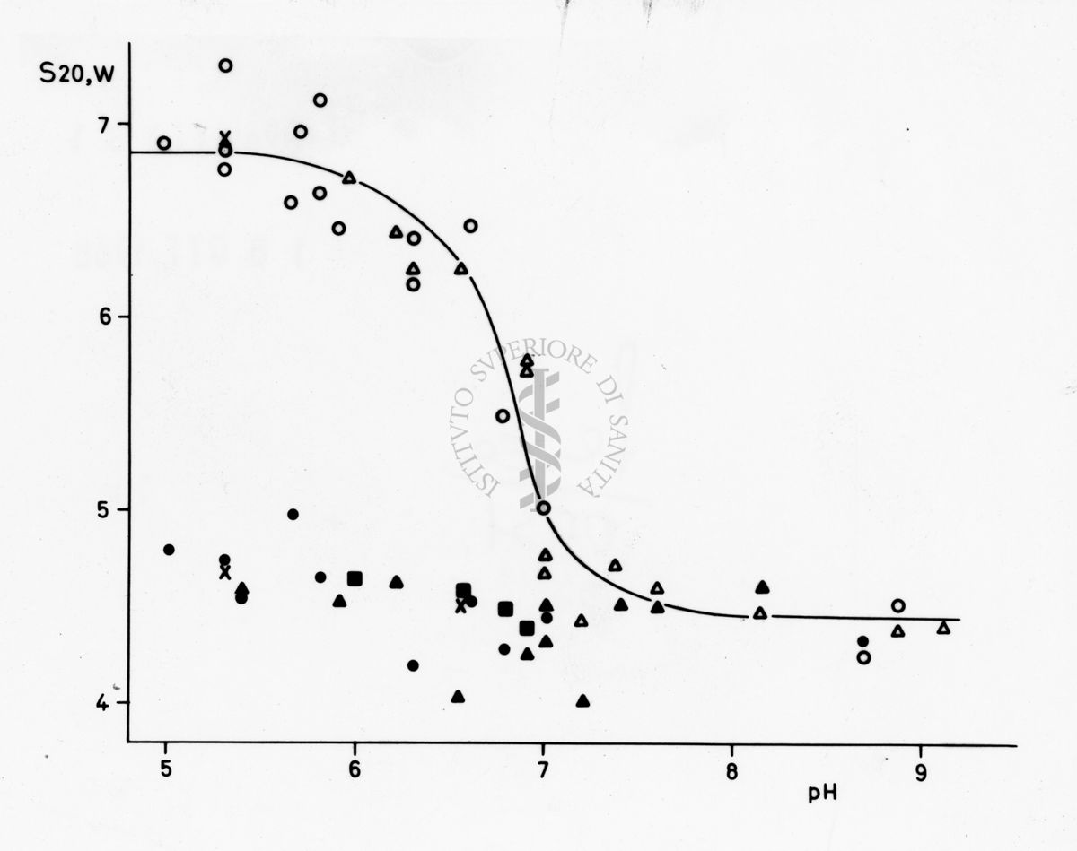 Grafico riguardante studi applicati al menisco