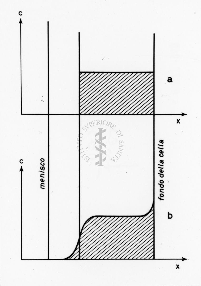 Grafico riguardante studi applicati al menisco