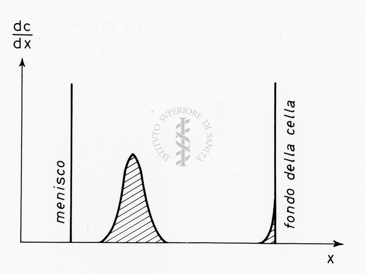 Grafico riguardante studi applicati al menisco