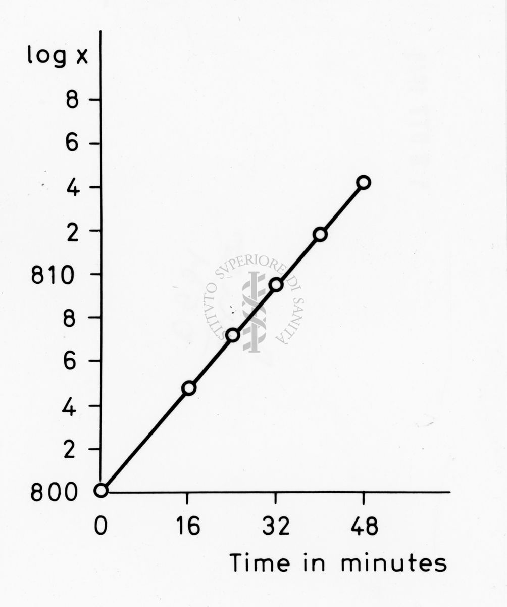 Grafico riguardante studi applicati al menisco