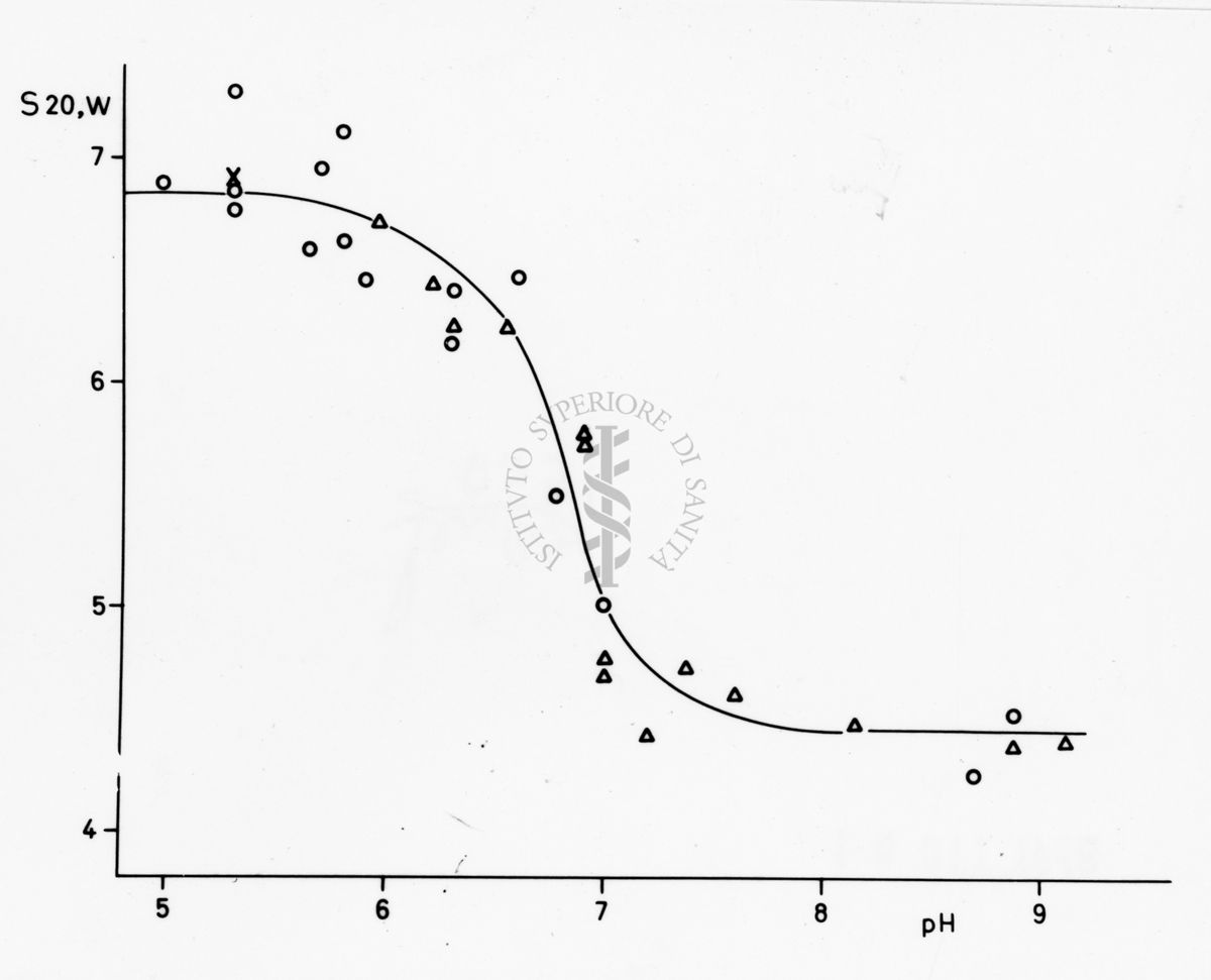 Grafico riguardante studi applicati al menisco