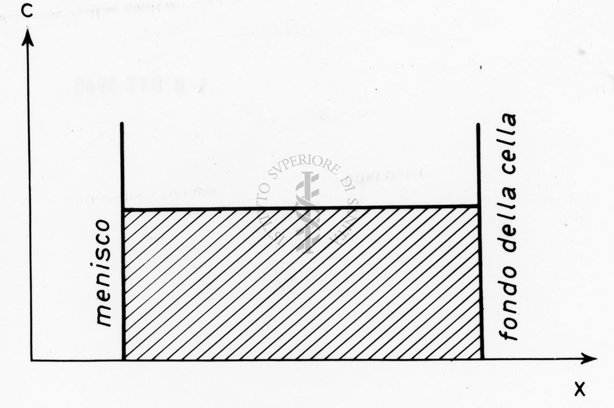 Grafico riguardante studi applicati al menisco