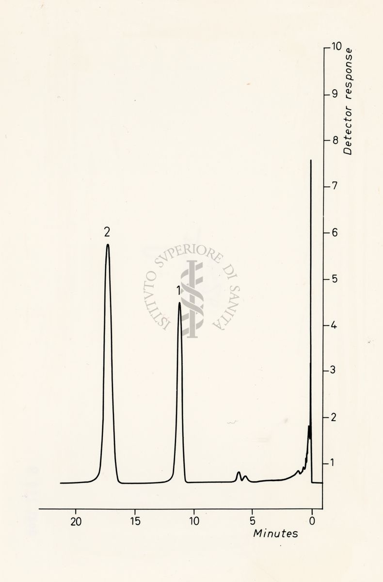 Grafici che si riferiscono alla composizione in aminoacidi del peptide alfa Tp III normale e anomalo