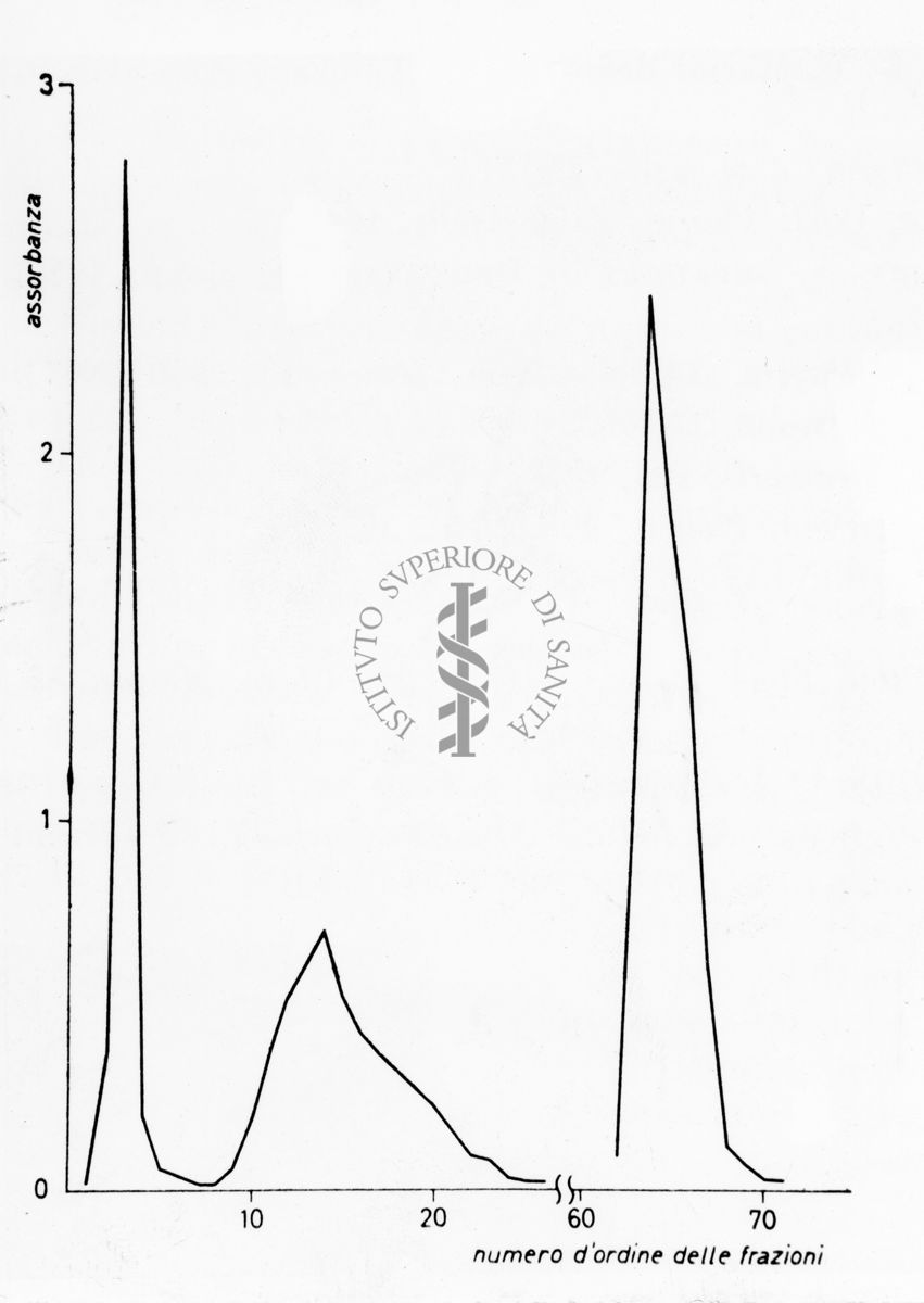 Grafico