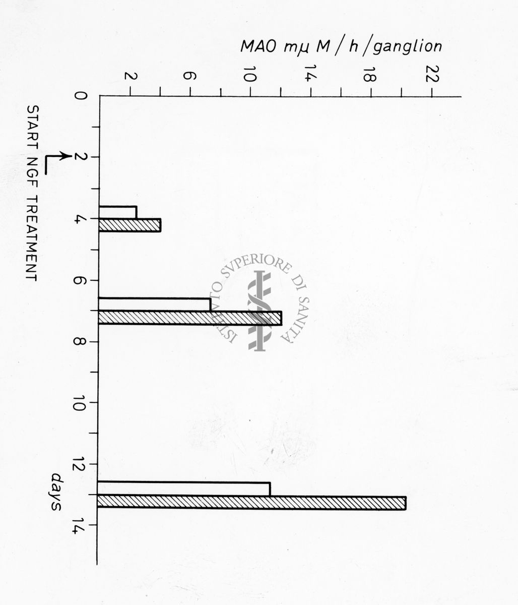 Grafico