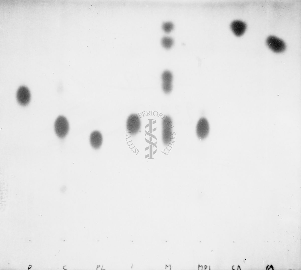 Riproduzione da gel