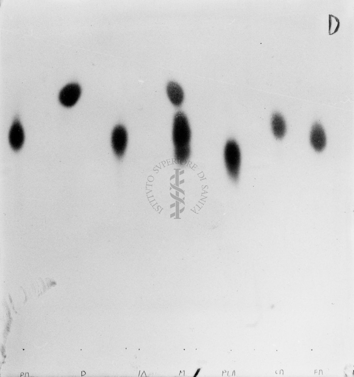 Riproduzione da gel