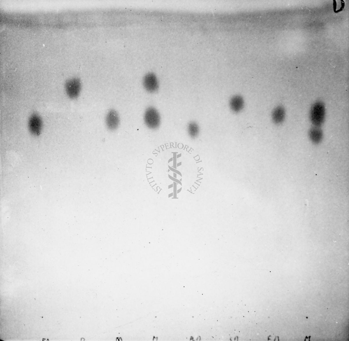 Riproduzione da gel