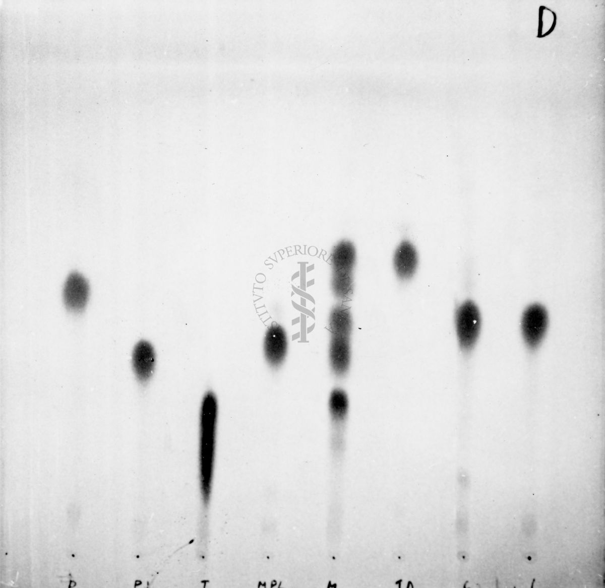 Riproduzione da gel