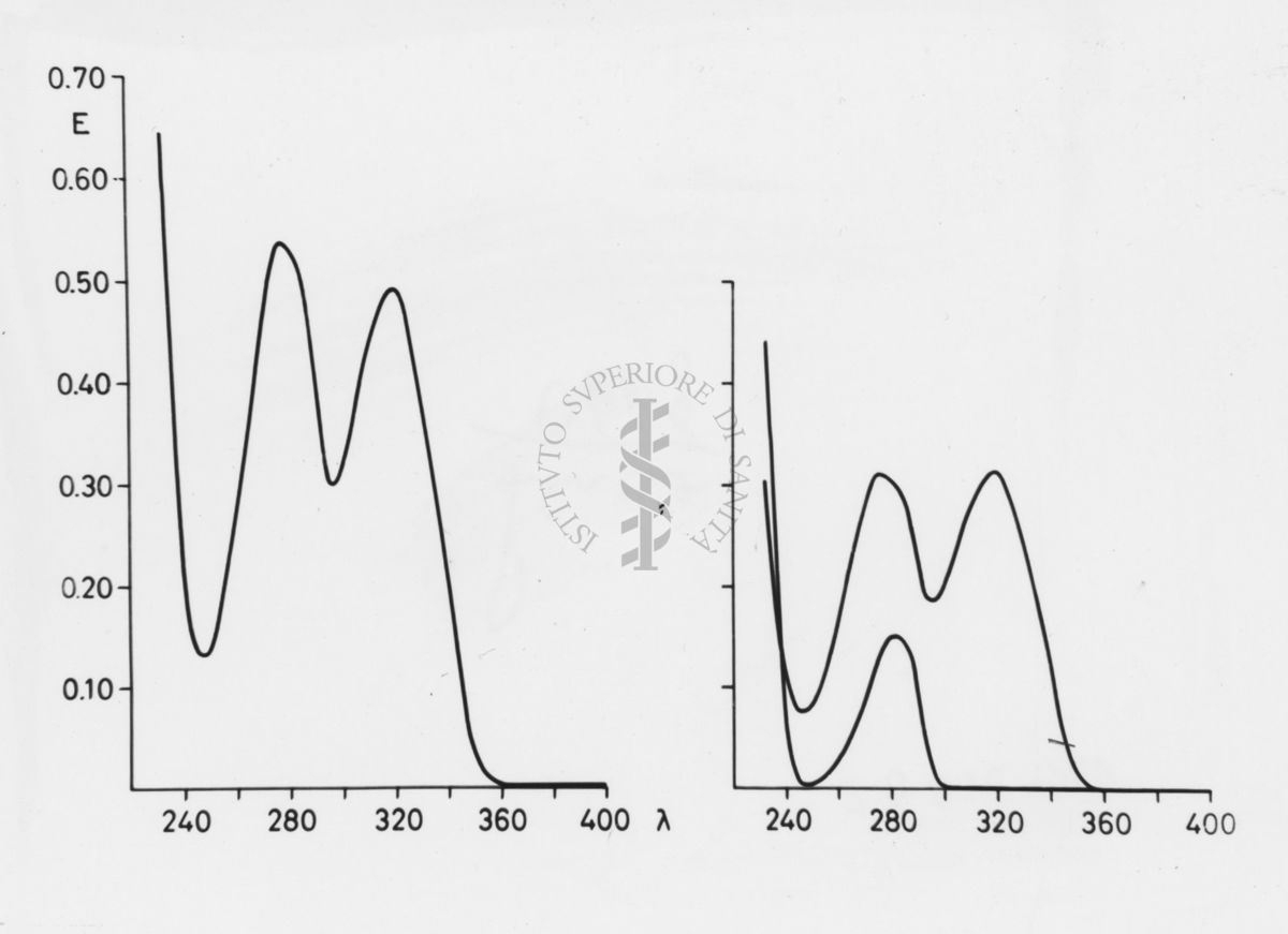 Grafico su studi ignoti