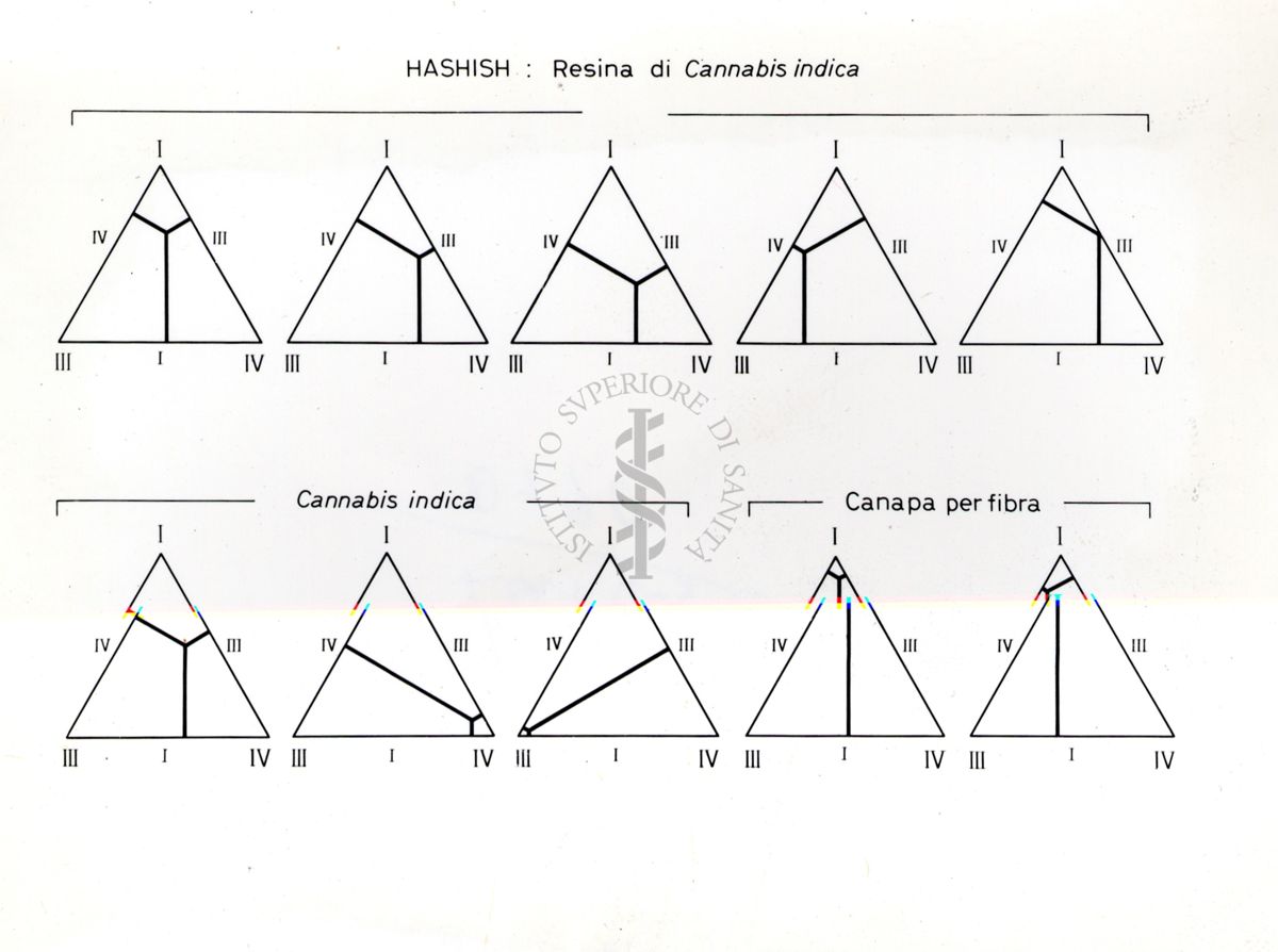 Grafico che si riferisce a studi ignoti