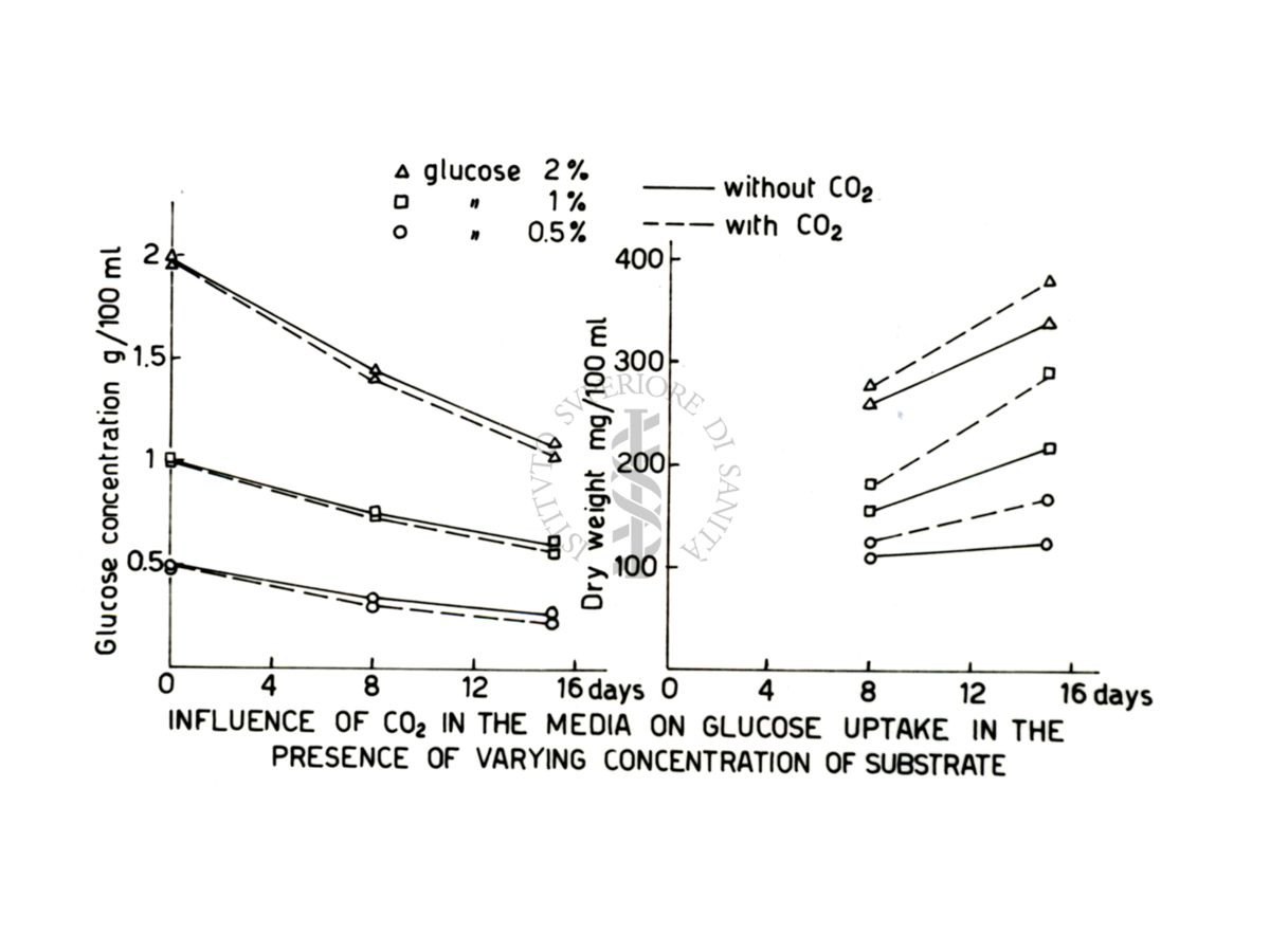 Curve di crescita e attività metabolica in diverse condizioni