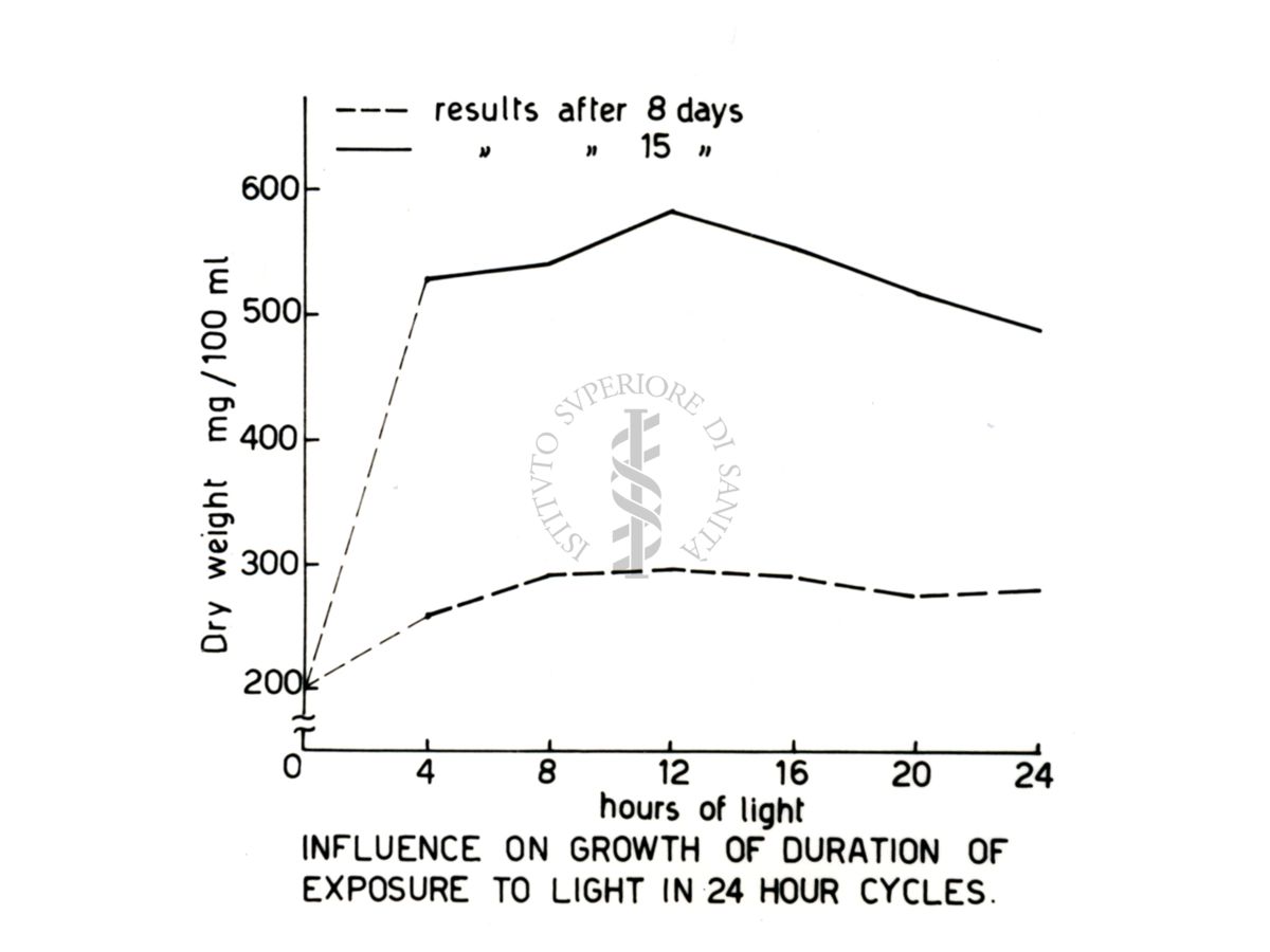 Curve di crescita e attività metabolica in diverse condizioni