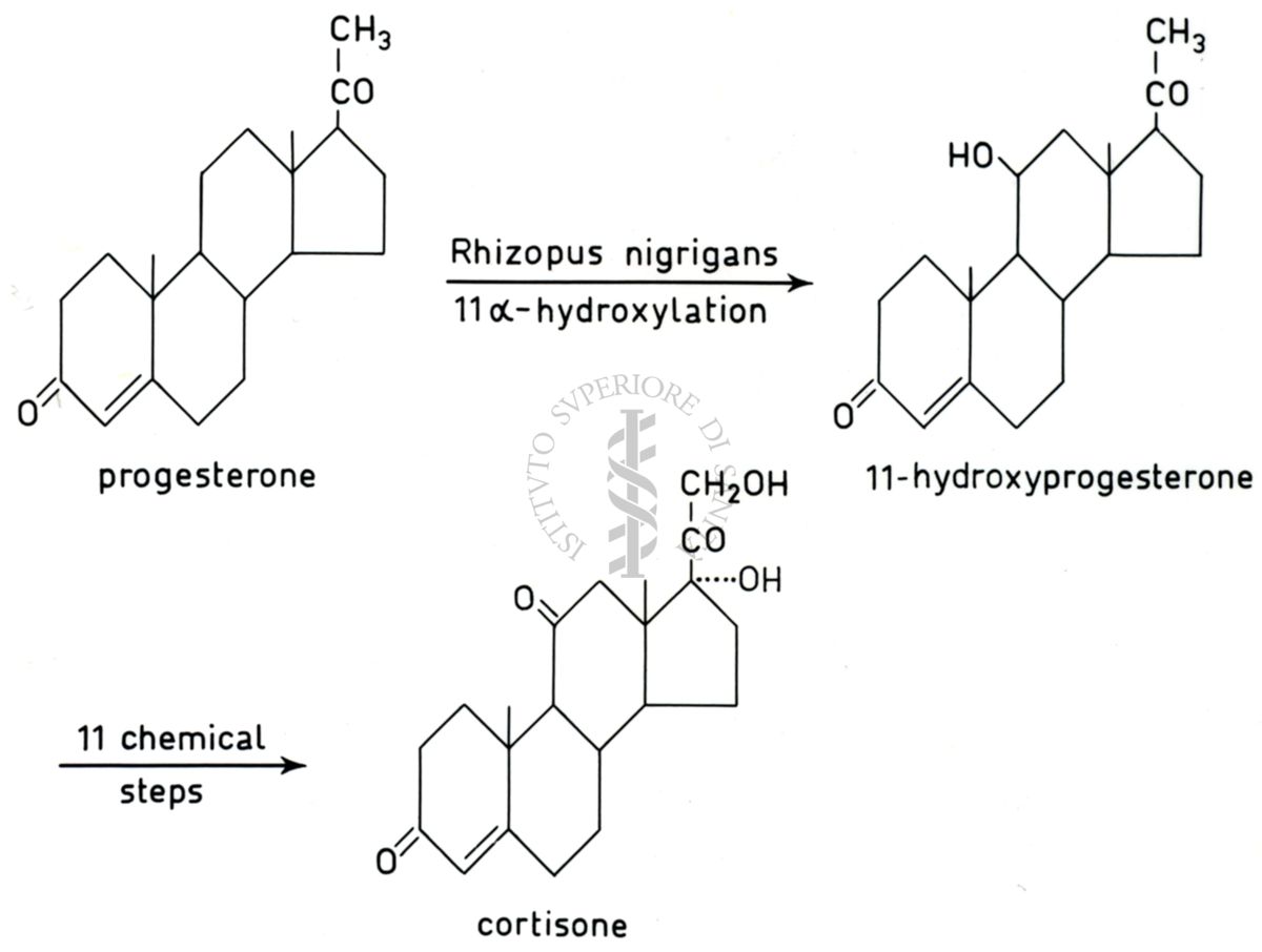 Analisi di pathway metabolici