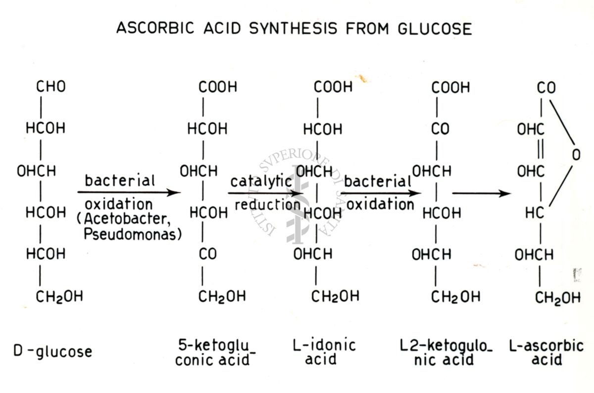 Analisi di pathway metabolici