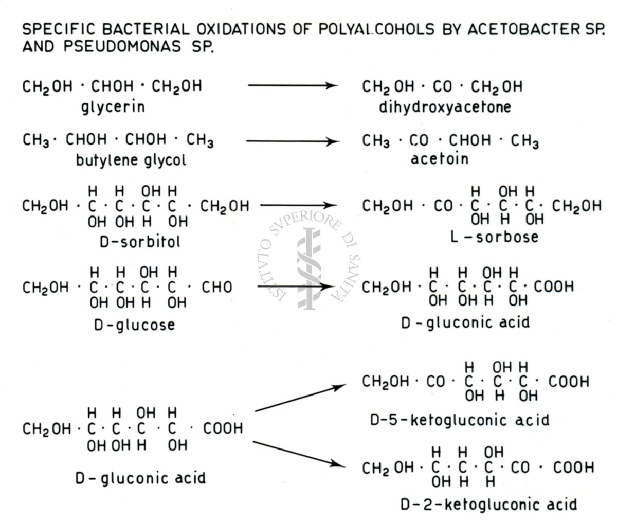 Analisi di pathway metabolici