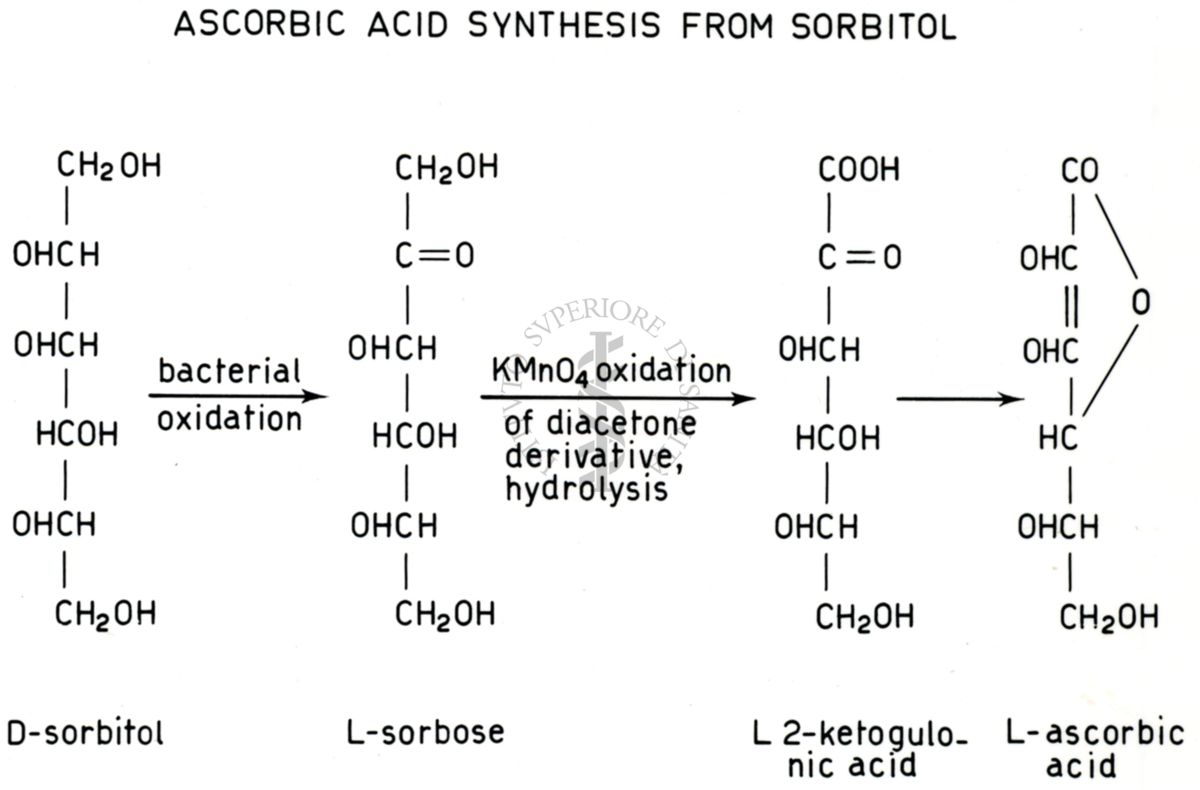 Analisi di pathway metabolici