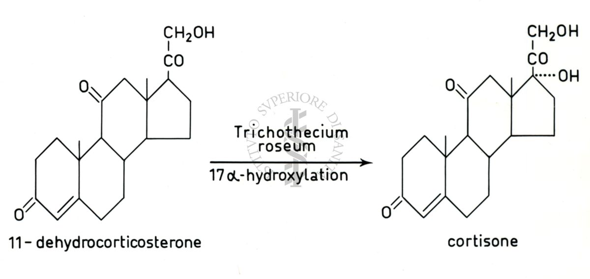 Formule di ormoni