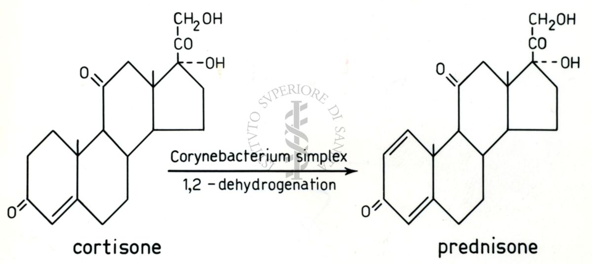 Formule di ormoni