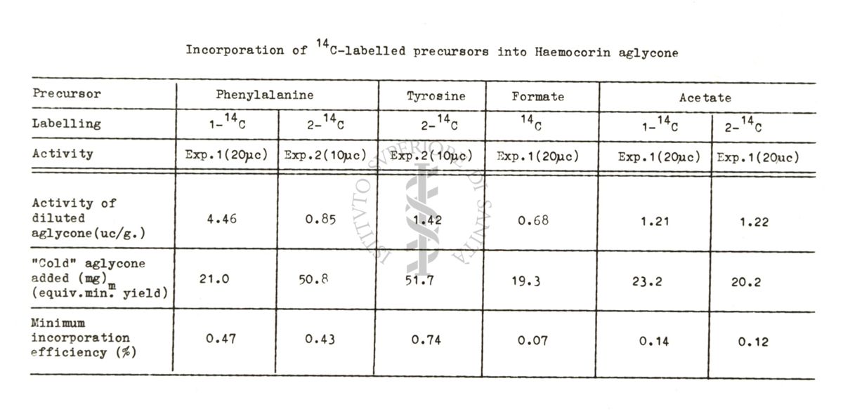 Studi metabolici di miceti