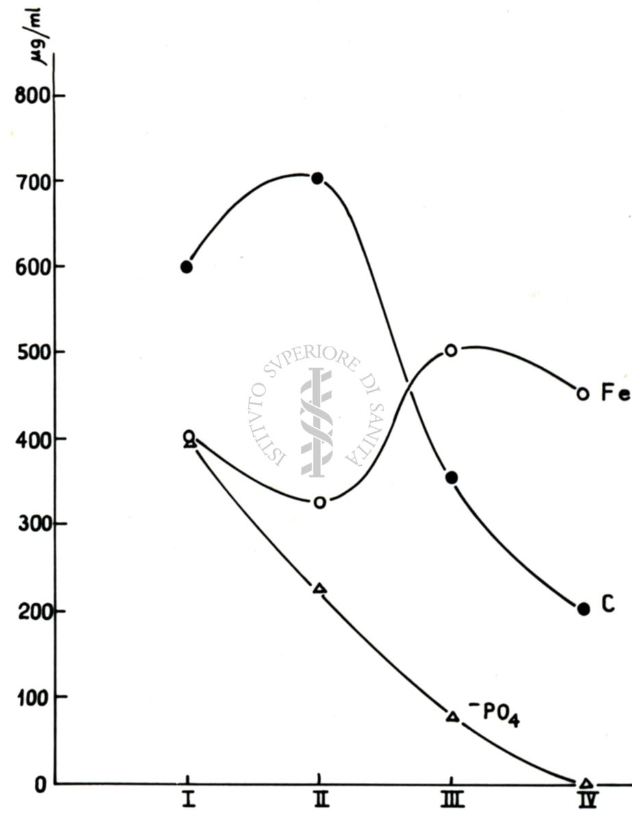 Studi metabolici di miceti