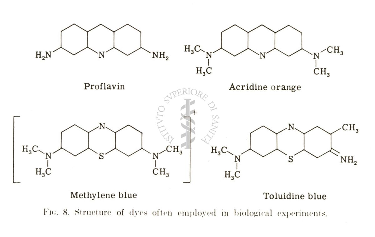 Studi di mutagenesi