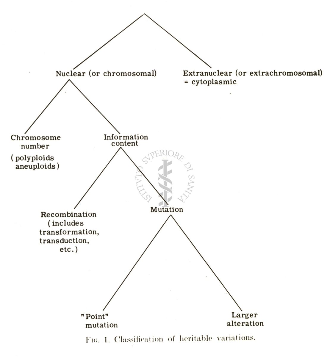 Studi di mutagenesi